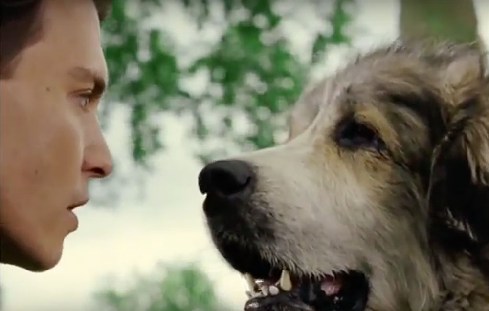 Finding sales neverland dog